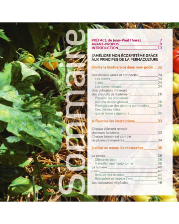 Mon petit jardin en permaculture