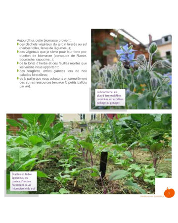 Mon petit jardin en permaculture