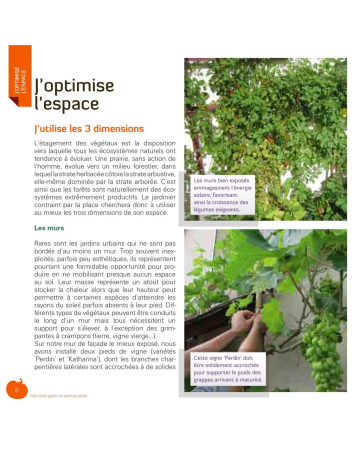 Mon petit jardin en permaculture