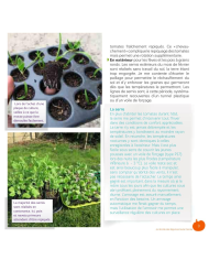 Mon petit jardin en permaculture