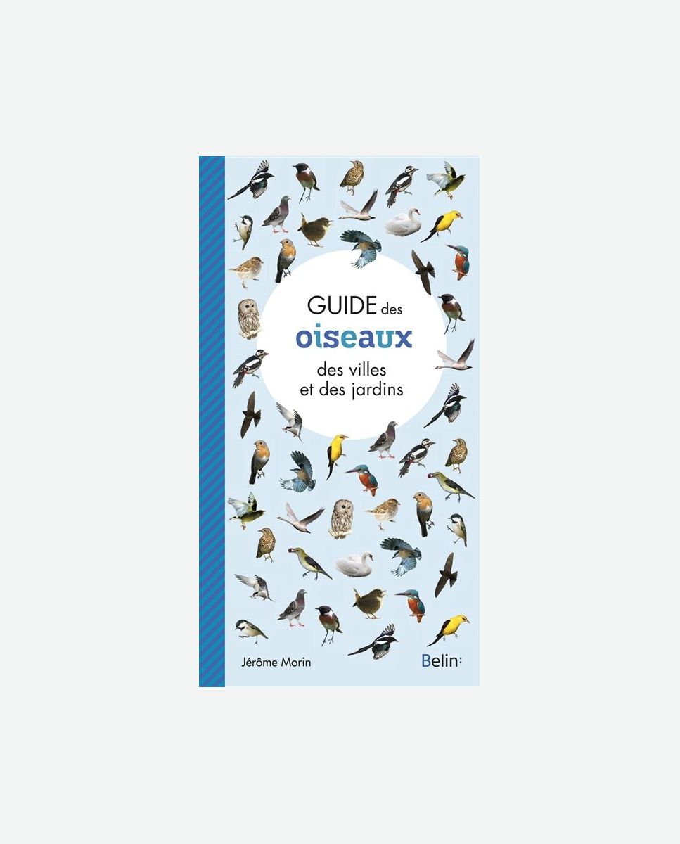 Guide des oiseaux des villes et des jardins Belin