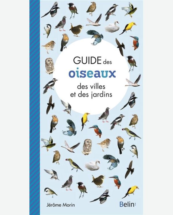 Guide des oiseaux des villes et des jardins Belin