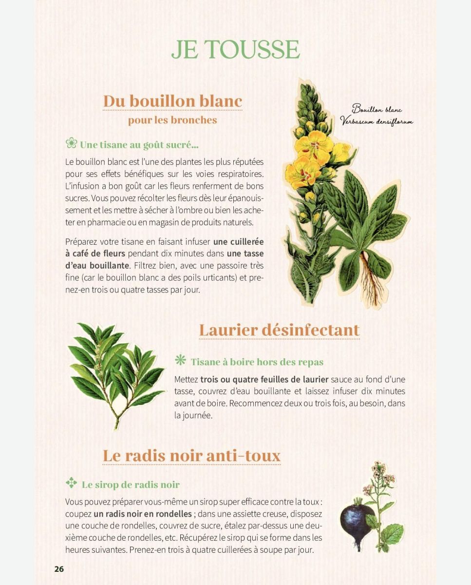 Comment préparer une tisane contre le rhume ? - Blog Promesse de fleurs