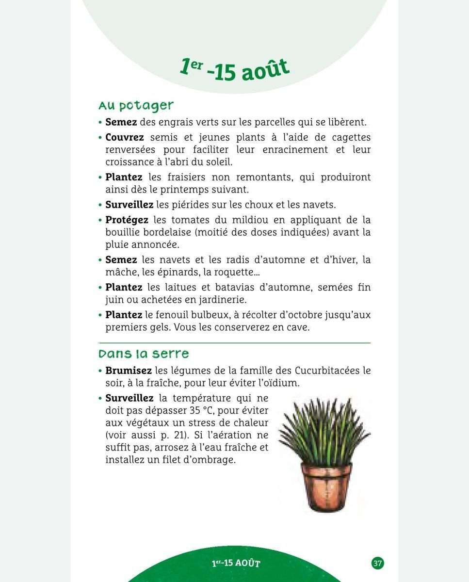 Le paillage au jardin potager [Guide complet] - France Serres