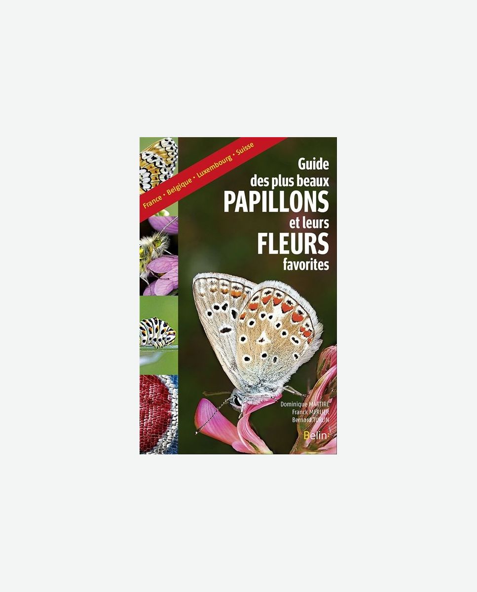 Le guide des plus beaux papillons et leurs fleurs favorites : France, Belgique, Luxembourg, Suisse Belin