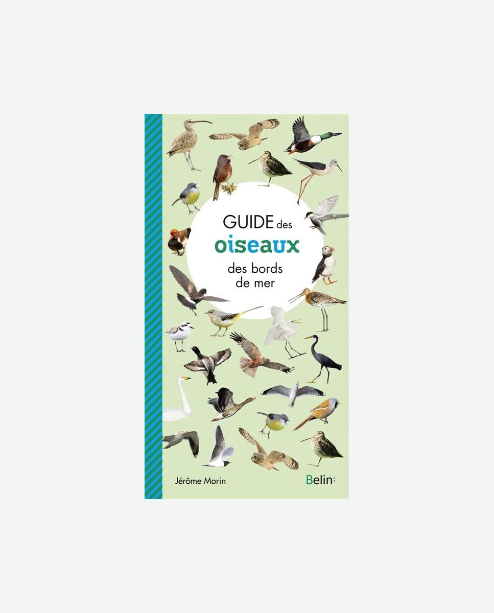 Guide des oiseaux des bords de mer Belin