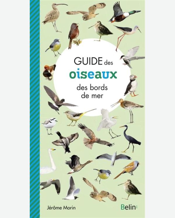 Guide des oiseaux des bords de mer Belin