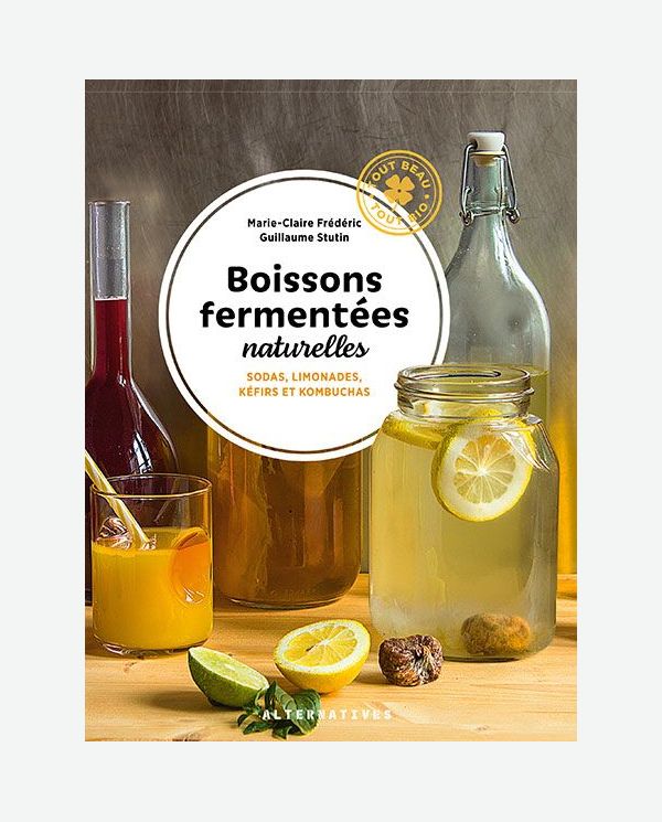 Boissons fermentées naturelles