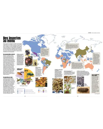 LIVRE : Insectes : tous les savoirs, de Bruno Didier