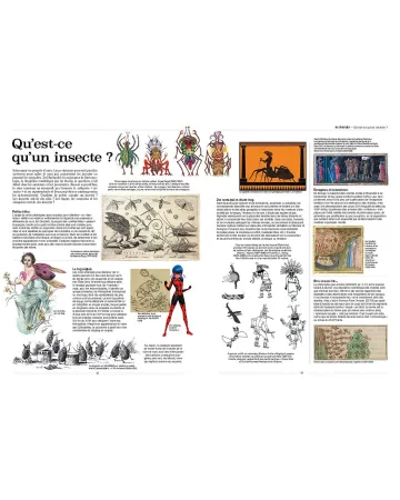 LIVRE : Insectes : tous les savoirs, de Bruno Didier