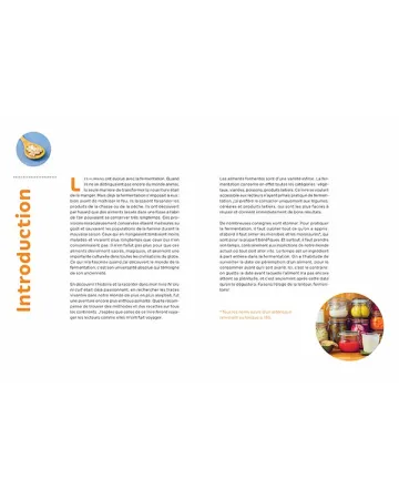 LIVRE : Aliments fermentés aliments santé, de Marie-Claire Frédéric