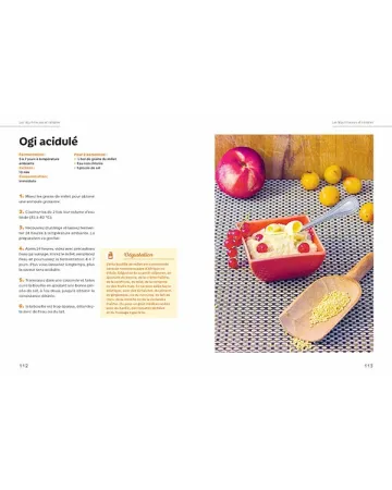 LIVRE : Aliments fermentés aliments santé, de Marie-Claire Frédéric