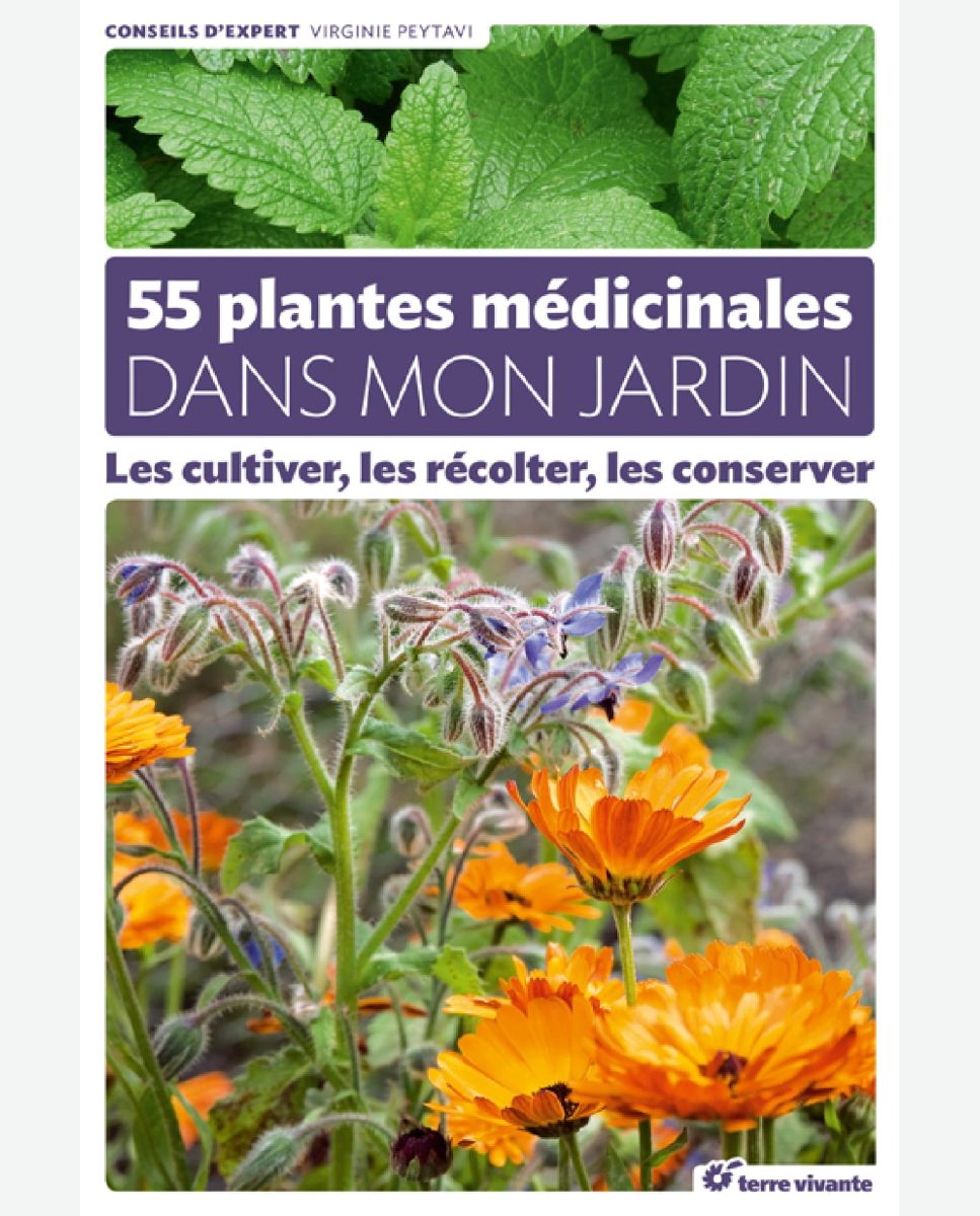 LIVRE : 55 plantes médicinales dans mon jardin, de Virginie Peytavi