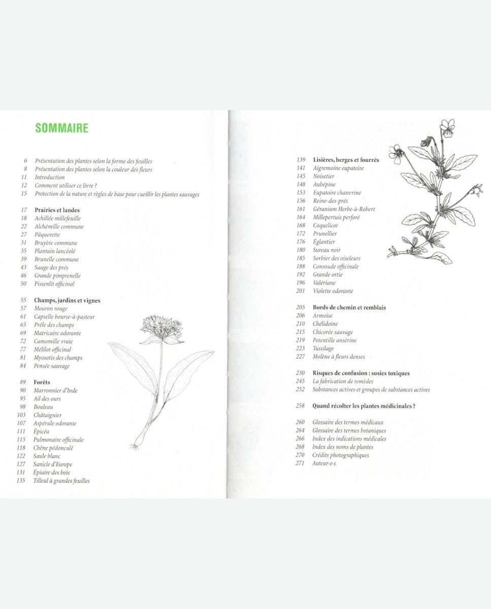 Guide des plantes médicinales
