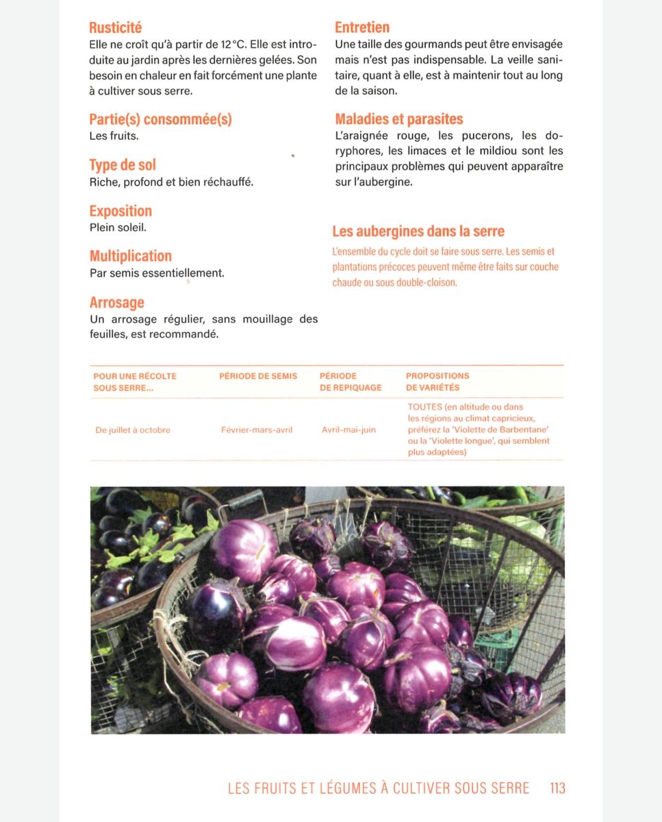 Culture du concombre en serre [Guide complet] - France Serres