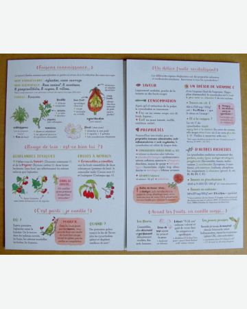 Je cuisine l'églantier