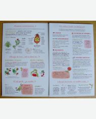 Je cuisine l'églantier