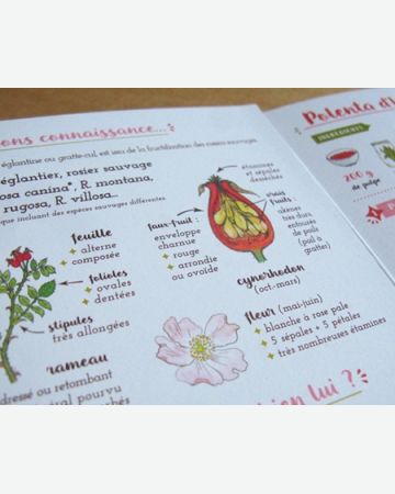 Je cuisine l'églantier