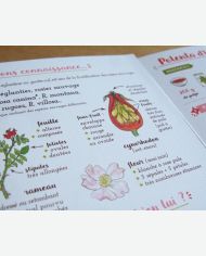 Je cuisine l'églantier