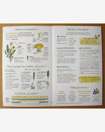 Je cuisine le pissenlit