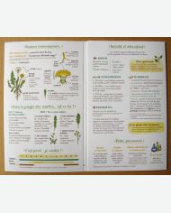 Je cuisine le pissenlit