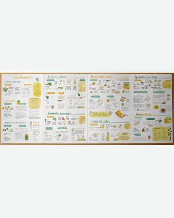 Je cuisine le pissenlit