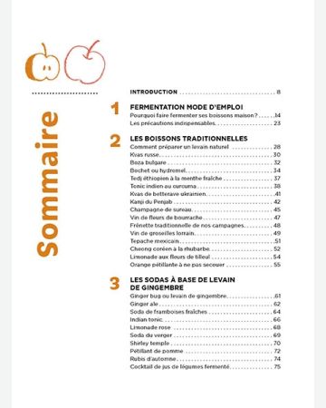 Boissons fermentées naturelles