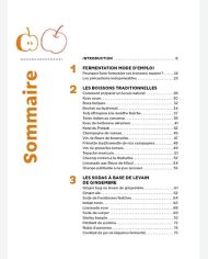 Boissons fermentées naturelles