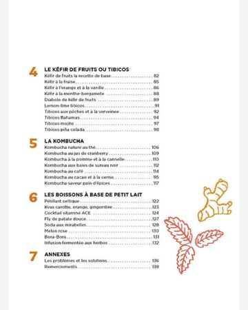 Boissons fermentées naturelles