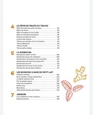 Boissons fermentées naturelles