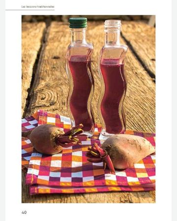 Boissons fermentées naturelles