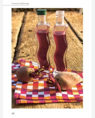 Boissons fermentées naturelles