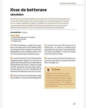 Boissons fermentées naturelles