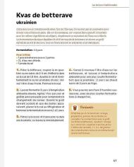 Boissons fermentées naturelles