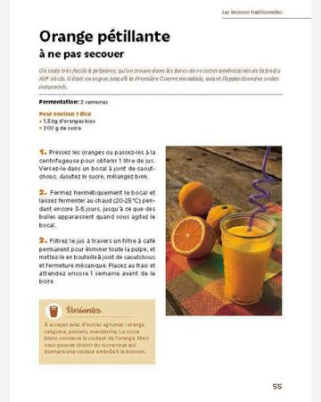 Boissons fermentées naturelles