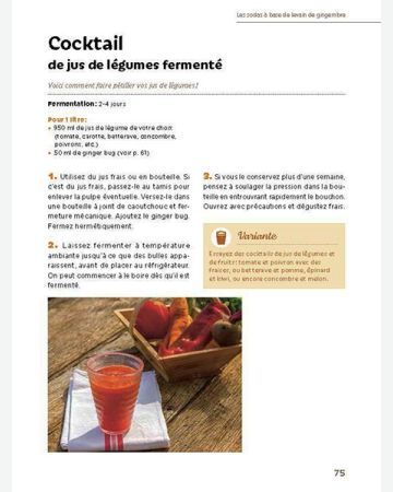 Boissons fermentées naturelles