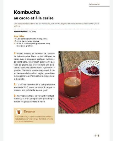 Boissons fermentées naturelles