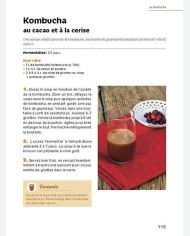 Boissons fermentées naturelles