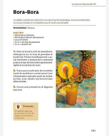 Boissons fermentées naturelles