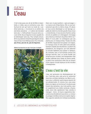 Les 10 clés d'abondance au potager d'Olivier