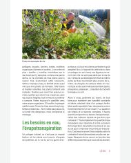 Les 10 clés d'abondance au potager d'Olivier