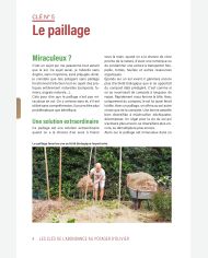 Les 10 clés d'abondance au potager d'Olivier