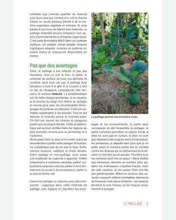 Les 10 clés d'abondance au potager d'Olivier