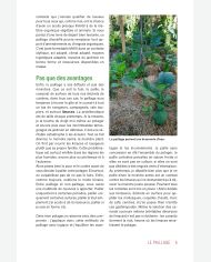 Les 10 clés d'abondance au potager d'Olivier