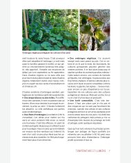 Les 10 clés d'abondance au potager d'Olivier