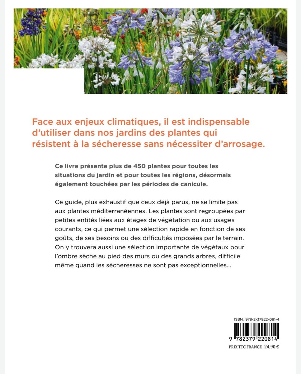 Le livre perdu des remèdes à base de plantes -  France