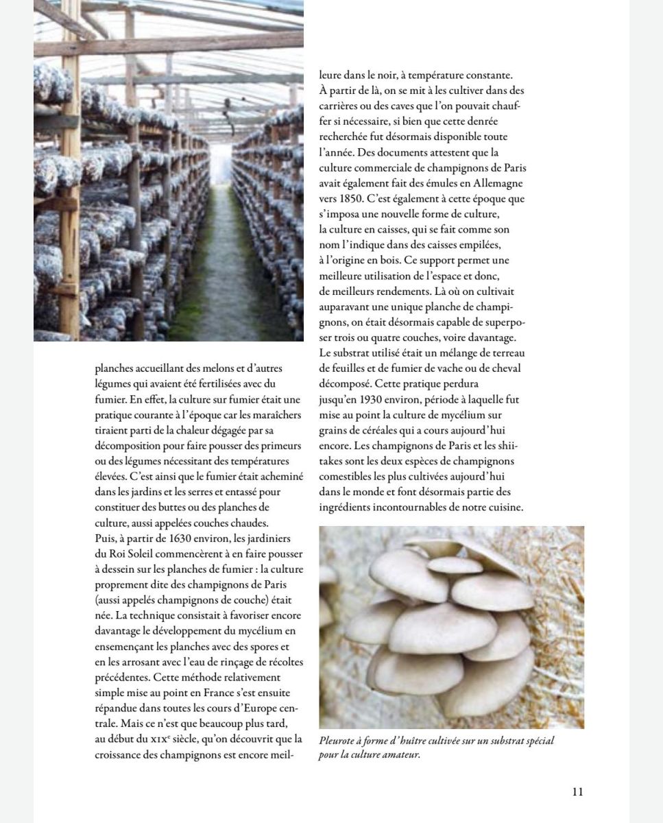 Les producteurs traditionnels de champignons de Paris à un tournant