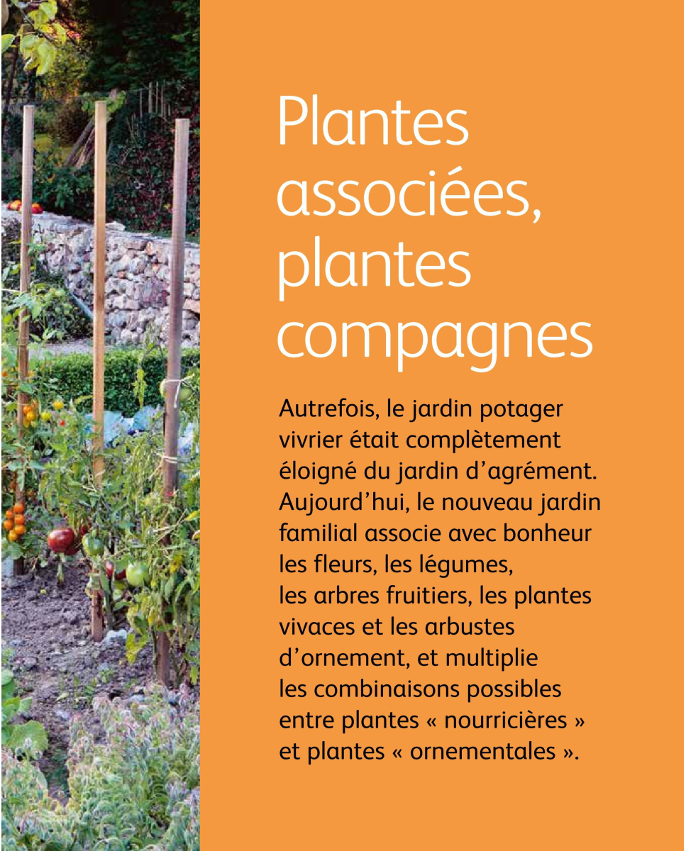Camaret-sur-Aigues. Une seconde vie pour les plantes des jardinières  communales