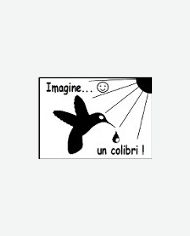 Imagine un colibri