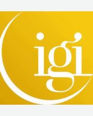 iGi Partners